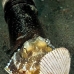 octopus_coconut_bottle_kbrab_v_0323_sul5342.jpg
